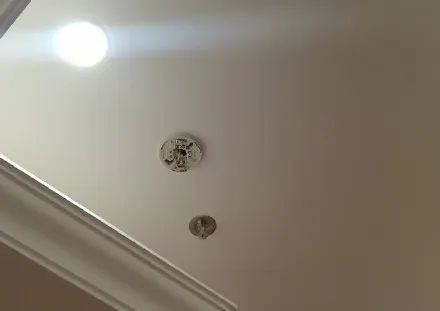 from clipboard from clipboard