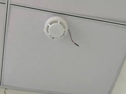 from clipboard
