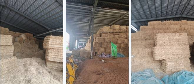 from clipboard from clipboard